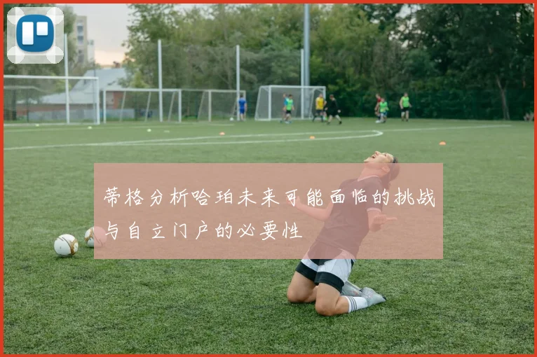 蒂格分析哈珀未来可能面临的挑战与自立门户的必要性