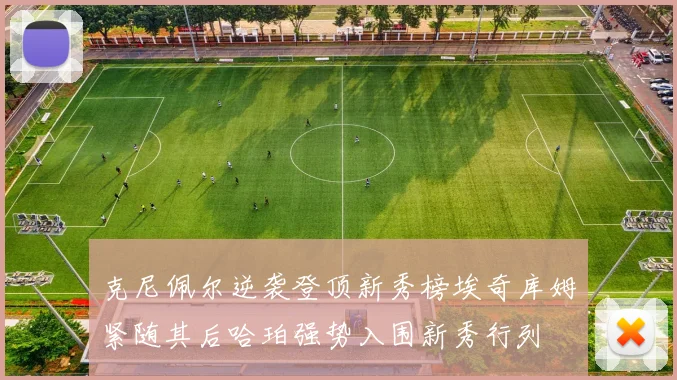 克尼佩尔逆袭登顶新秀榜埃奇库姆紧随其后哈珀强势入围新秀行列